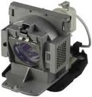 Advanced Lamps 5J.J1105.001 Lamp & Housing for BenQ Projectors - 90 Day Warranty