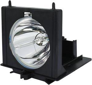Advanced Lamps 260962 Lamp & Housing for RCA TVs
