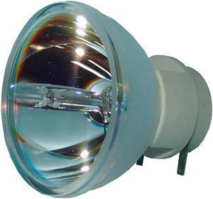 E20.8 280W 0.9 AC Bare Lamp replaces 69806-1 - 90 Day Warranty