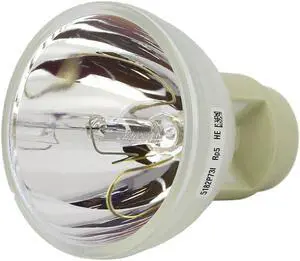E20.9n 210W 0.8 AC Bare Projector Lamp replaces The 55069 - 90 Day Warranty