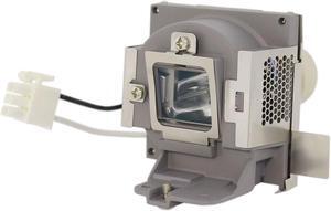 Advanced Lamps RLC-100 Lamp & Housing for Viewsonic Projectors