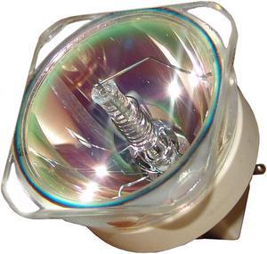 Advanced Lamps E20.9 330W/270W 1.0 AC Bare Projector Lamp - 9281 697 05390 - 90 Day Warranty