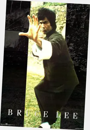 Bruce Lee Poster 24"x36" 24x36