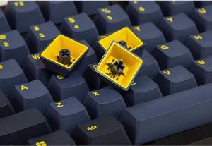 Mistel Doubleshot PBT Keycaps for Mechanical Keyboard with Cherry MX Switches and Clones, 108 Keys Plus Extra 11 Keys Set, PBT Keycaps with 6.25U Space Bar for PC Gaming Keyboard, Glaze Blue