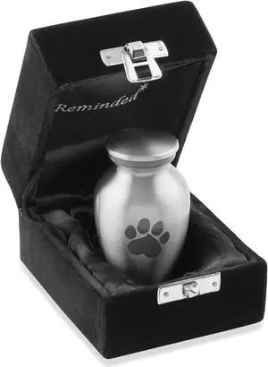 Reminded Pet Cremation Urns for Dog and Cat Ashes, Memorial Paw Print Urn - Extra Small Keepsake Silver