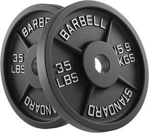 Philosophy Gym Set of 2 Standard Cast Iron Olympic 2-inch Weight Plates (35 LB each)