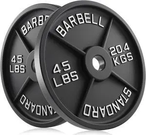 Philosophy Gym Set of 2 Standard Cast Iron Olympic 2-inch Weight Plates (45 LB each)