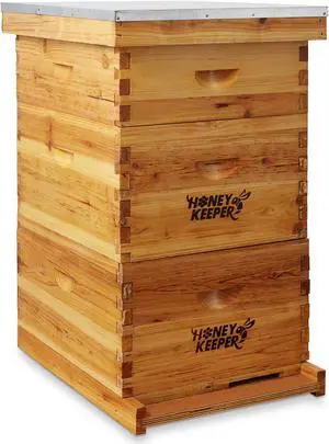 Honey Keeper Beehive 10 Frame Complete Box Kit (Waxed Boxes, 2 Deep and 1 Medium) with Wooden Frames and Waxed Foundations for Langstroth Beekeeping