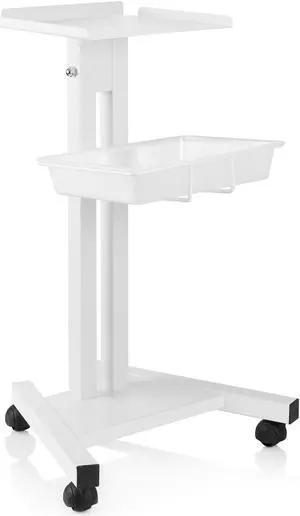 Esthology Rolling Equipment Cart