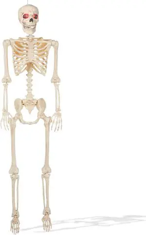 BOO BOX 5' Animated Full Size Skeleton, Halloween Decorations for Outside, Porch or Yard with Light-up Eyes and Speaker