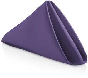 Lann's Linens Set of 144 Cloth Dinner Napkins, 20-inch Polyester Napkins, Washable and Reusable Fabric for Weddings, Hotels, Restaurants - Purple Lann's Linens Set of 144 Cloth Dinner Napkins, 20-inch Polyester Napkins, Washable and Reusable Fabric for Weddings, Hotels, Restaurants - Purple