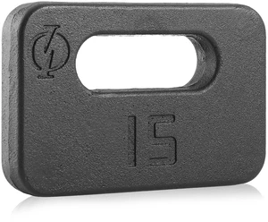 Philosophy Gym Cast Iron Ruck Weight - 15 LB Weighted Fitness Plate with Handle Philosophy Gym Cast Iron Ruck Weight - 15 LB Weighted Fitness Plate with Handle