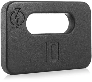Philosophy Gym Cast Iron Ruck Weight - 10 LB Weighted Fitness Plate with Handle Philosophy Gym Cast Iron Ruck Weight - 10 LB Weighted Fitness Plate with Handle