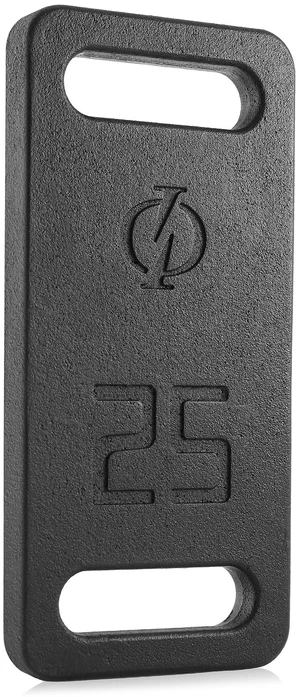 Philosophy Gym Cast Iron Ruck Weight - 25 LB Weighted Fitness Plate with Handle Philosophy Gym Cast Iron Ruck Weight - 25 LB Weighted Fitness Plate with Handle