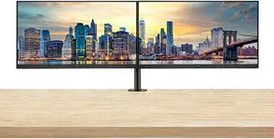 HP EliteDisplay E27q G4 27 Inch IPS LED Backlit Monitor 2-Pack Bundle with Fully Adjustable Desk Mount Monitor Stand