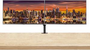 ViewSonic VX3276-MHD 32-inch 1920 x 1080 Full HD LCD IPS Monitor, 2-Pack Bundle with Eye-Care, HDMI, DisplayPort, Speakers, Desk Mount Dual Monitor Stand