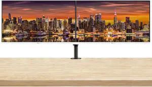 MSI Pro MP273AW 27-inch 1080P Full HD IPS 100 Hz 1ms LCD Monitor, 2-Pack bundle with Less Blue Light, FreeSync, HDMI, DisplayPort, Integrated Speakers, Desk Mount Dual Monitor Stand