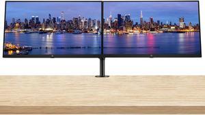 HP EliteDisplay E24 G5 24 inch Full HD LED-Backlit LCD IPS Monitor, 2-Pack Bundle with HDMI, USB Hub, Display Port and Desk Mount Dual Monitor Stand