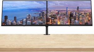 HP EliteDisplay E24q G5 24 inch Quad HD 2560 x 1440 LED-Backlit LCD IPS Monitor, 2-Pack Bundle with HDMI, USB Hub, Display Port and Dual Monitor Stand