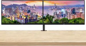 MSI Pro MP245V 24 inch 1080P Full HD 100Hz 1ms LCD Business Monitor, 2-Pack Bundle with Less Blue Light, FreeSync, HDMI, VGA, Desk Mount Dual Monitor Stand