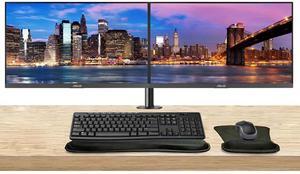 Asus VA24EHF 24-inch 1080p FHD LCD Monitor, 2-Pack HDMI, Eye Care, Low Blue Light, 100Hz 1ms Desk Mount Dual Monitor Stand, MK270 Wireless Keyboard & Mouse, Gel Mouse & Wrist Pad