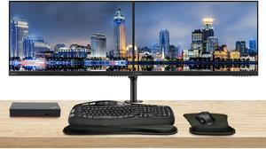 Lenovo ThinkVision E24 1920 x 1080 LED FHD LCD Monitor 2Pack Bundle with HDMI VGA Speakers DisplayPort Dual Monitor Stand ThinkPad USBC Dock MK550 Wireless Keyboard  Mouse Mouse  Wrist Pad
