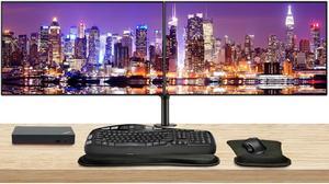 Lenovo ThinkVision P27h 2560 x 1440 LED QHD LCD Monitor, 2-Pack Bundle with HDMI, DisplayPort, Daisy Chain ready, Dock, USB Hub, Dual Monitor Stand, MK670 Wireless Keyboard & Mouse, Mouse & Wrist Pad