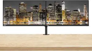 Lenovo ThinkVision T24i 24-inch 1920 x 1080 LED Backlit Full HD Widescreen LCD Monitor, 2-Pack Bundle with HDMI, VGA, DisplayPort, USB Hub, Desk Mount Dual Monitor Stand