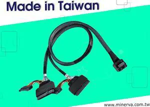 Innocard Mini SAS HD (SFF-8643) 8-Lane to U.2 (SFF-8639) x2 Cable