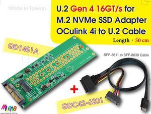 PCIe 4.0 Oculink 4i (SFF-8611) to U.2 (SFF-8639) Cable, 50cm & U.2 to M.2 NVMe Adapter for AORUS NVMe Gen4 SSD