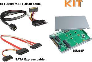 Innocard SATA Express to M.2 (SATA Interface) & mSATA SSD Converter or U.2 (SFF-8639) to M.2 NVMe SSD Converter with SATA Express Cable & U.2 Cable KIT