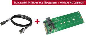 Innocard Mini SAS HD (SFF-8643) & SATA III to M.2 SSD (SATA & NVMe interface) Converter with Mini SAS HD (SFF-8643) Cable