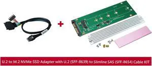 Innocard U.2 (SFF-8639) to M.2 NVMe SSD Adapter with SSD Heat sink & U.2 (SFF-8639) to Slimline SAS (SFF-8654) Cable KIT