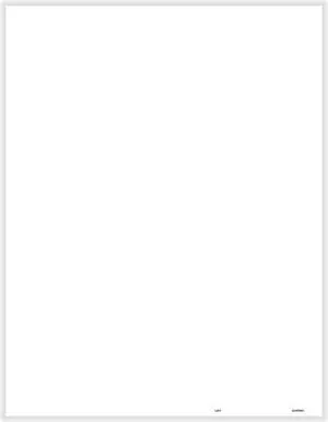 1099 Blank w/Multiple 1099 Backers Cut Sheet (Form Smart) (200 Forms/Pack)
