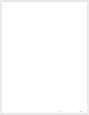 1099 Blank w/Multiple 1099 Backers Cut Sheet (Form Smart) (200 Forms/Pack)