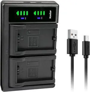 Kastar BP-110 Fully Decoded LTD2 USB Battery Charger Compatible with Canon VIXIA HF R20 HFR20, VIXIA HF R20 Red, VIXIA HF R20 Silver, VIXIA HF R200 HFR200, VIXIA HF R21 HFR21 Camera