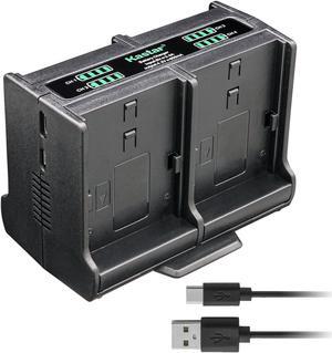 Kastar Quadruple Battery Charger Compatible with Sony DSC-HX9, DSC-HX9V, DSC-HX10, DSC-HX10V, DSC-HX20, DSC-HX20V, DSC-HX30, DSC-HX30V, DSC-N1, DSC-N2, DSC-T20, DSC-T25 Camera Kastar Quadruple Battery Charger Compatible with Sony DSC-HX9, DSC-HX9V, DSC-HX10, DSC-HX10V, DSC-HX20, DSC-HX20V, DSC-HX30, DSC-HX30V, DSC-N1, DSC-N2, DSC-T20, DSC-T25 Camera