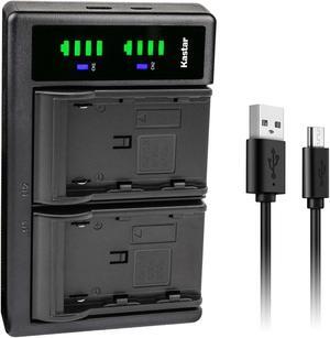 Kastar BP-930G LTD2 USB Battery Charger Compatible with Canon EOS C300 C300 PL EOS C500 C500 PL ES50 ES55 ES60 ES65 ES75 ES300V ES410V ES420V ES520A ES4000 ES5000 ES6000 ES6500V Camera