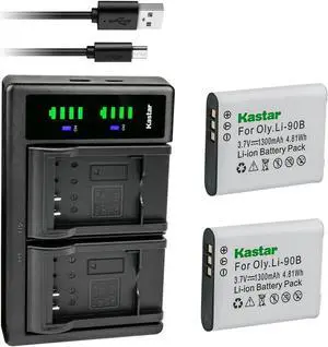Kastar DB-110 Battery 2-Pack and LTD2 USB Charger Replacement for Ricoh THETA M15 360 Spherical Camera, Ricoh THETA S 360 Spherical Camera, Ricoh THETA SC 360°, Ricoh THETA SC2 360 Spherical Camera