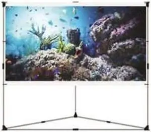 Pyle PRJTPOTS101 100 in. Portable Outdoor Projector Screen