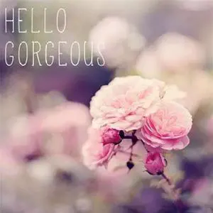 Sun Dance Graphics PDX10143ASMALL Hello Gorgeous Poster Print by Sarah Gardner, 12 x 12 - Small