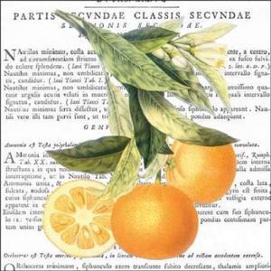 Classic Collections PDXCC3294SMALL Citrus Edition II Poster Print by Cory Bannister, 12 x 12 - Small