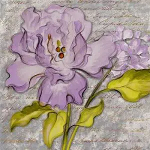Sun Dance Graphics PDX8664ESMALL Purple Florals II Poster Print by Lanie Loreth, 12 x 12 - Small