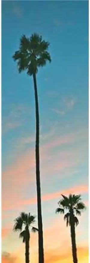 Sun Dance Graphics PDX9449MSMALL Sunset Palms Poster Print by Gail Peck, 8 x 24 - Small