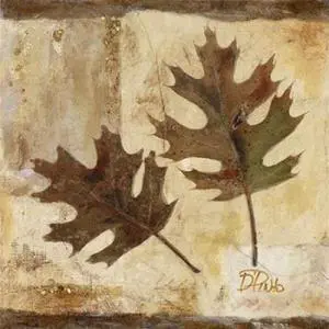 Sun Dance Graphics PDX6651SMALL Fall II Poster Print by Patricia Pinto, 12 x 12 - Small
