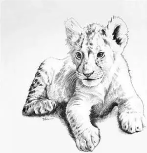 Sun Dance Graphics PDX9716ASMALL Lion Poster Print by Vivien Rhyan, 12 x 12 - Small