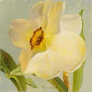 Sun Dance Graphics PDX7694ALARGE Daffodil Sky II Poster Print by Lanie Loreth, 24 x 24 - Large