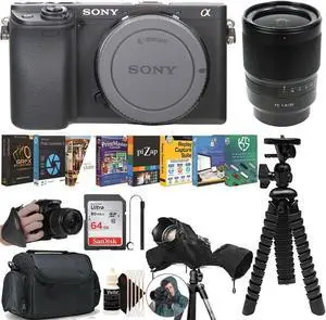 Sony Alpha a6400 Mirrorless Digital Camera + Sony Distagon T* FE 35mm f/1.4 ZA Lens  Accessory Kit