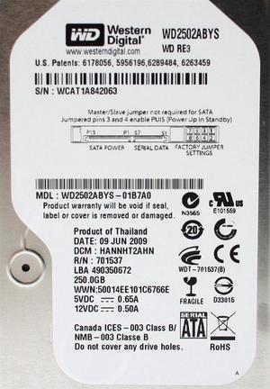 WD 250GB SATA, HANNHT2AHN, 30SEP2009, THAILAND
