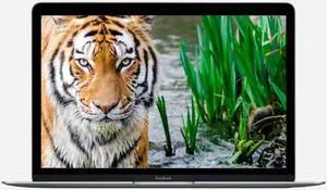 Apple A Grade Macbook 12-inch (Retina, Space Gray) 1.4GHZ Dual Core i7 (Mid 2017) MNYG2LL/A-BTO 512GB SSD 16GB Memory 2304x1440 Display Mac OS Power Adatper Included